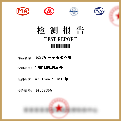 10kV配電變壓器檢測